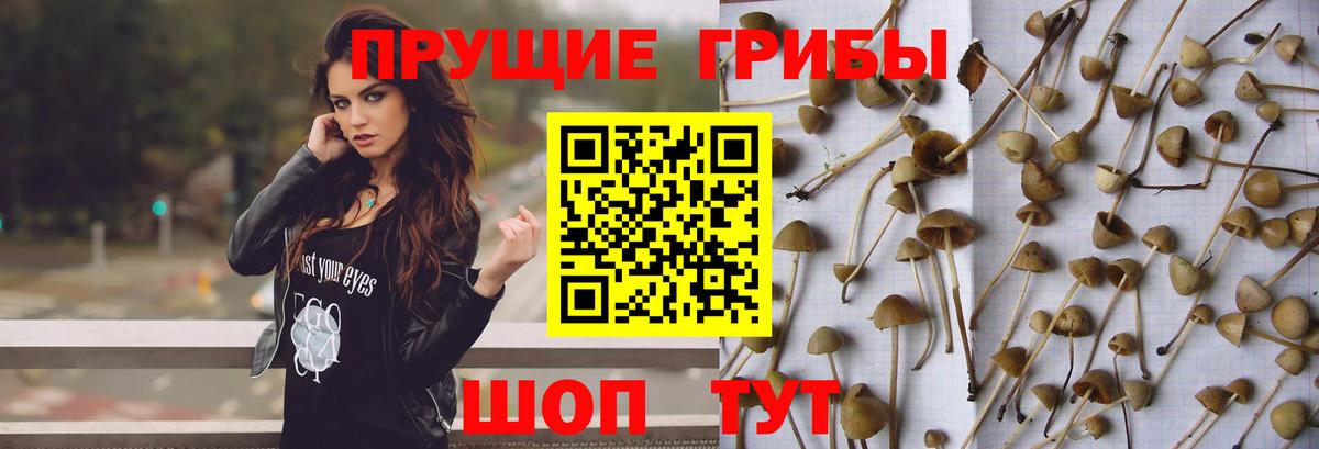 Верхняя Салда  Галлюциногенные грибы мухоморы  Вход с VPN 